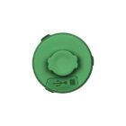 Gober-Kit-green-4
