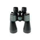 NEWZOOM-1