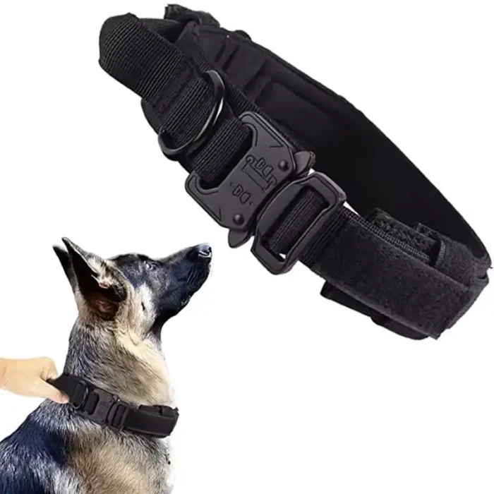 Dog Collar-black