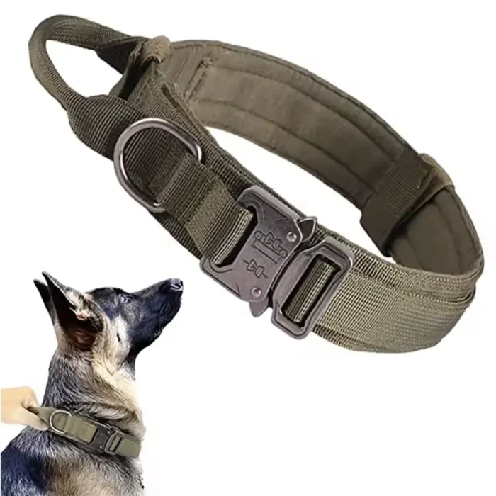 Dog Collar-green Dog Collar-green
