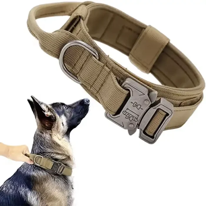Dog Collar-tan Dog Collar-tan