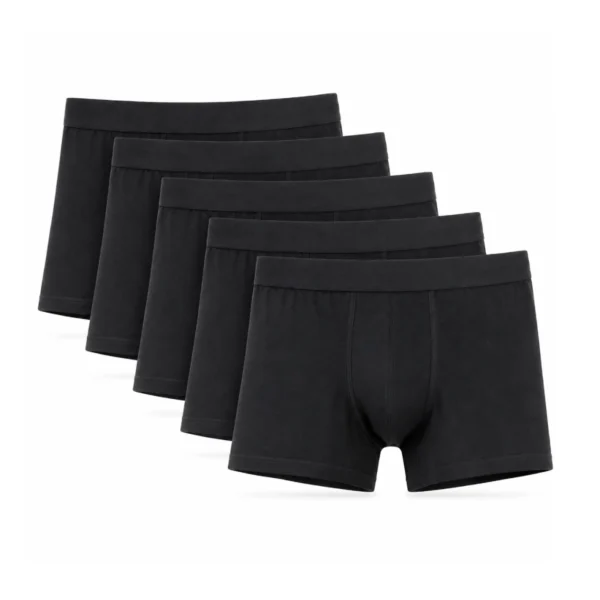 5 זוגות בוקסרים מנדפים - Aztec 5pk Boxer