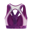 LC1885200_1_GHO_crossrunbra_sparklinggrapeao_run_w.png.high-res